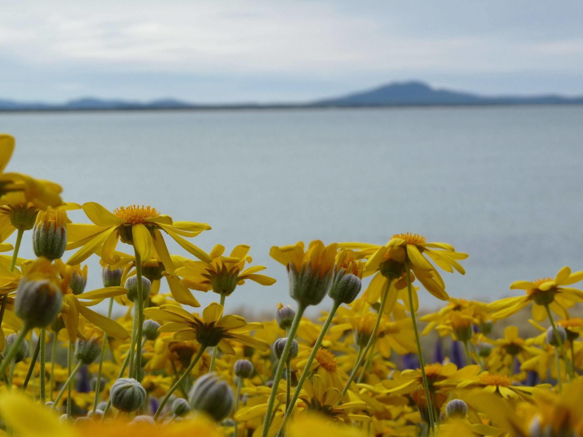 Swansea Motor Inn Tasmania Екстер'єр фото